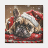 Französisches Bulldog-Weihnachtsfest Magnet (Vorne)