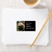 Französisches Bulldohreetikett Adressaufkleber (Insitu)