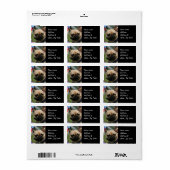 Französisches Bulldohreetikett Adressaufkleber (Vorne)