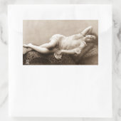 Französisches Foto des Risque Flapper Girl der 192 Rechteckiger Aufkleber (Tasche)