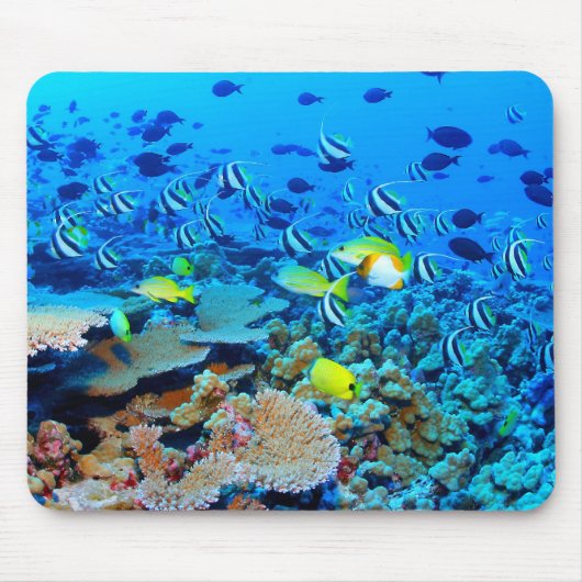 Französisches Fregatte-Masseriff mit Fischen Mousepad (Vorne)