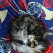 Französisches Horn Fleecedecke