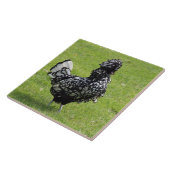 Französisches Huhn Fliese (Seite)