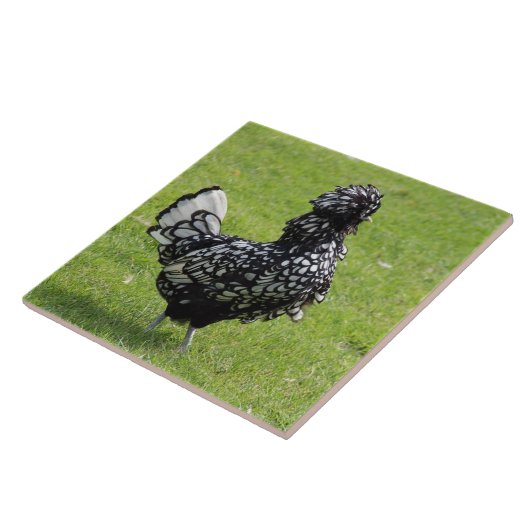 Französisches Huhn Fliese (Seite)