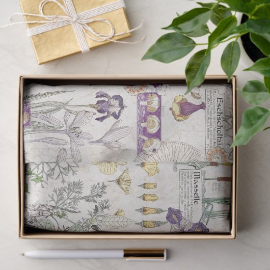 Französisches Kunst Nouveau Seidenpapier (Geschenk)