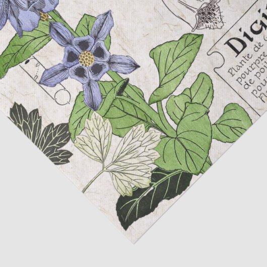 Französisches Kunst Nouveau Seidenpapier (Detail)