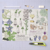 Französisches Kunst Nouveau Seidenpapier (Handwerk)