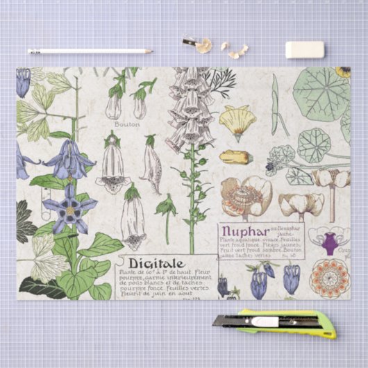 Französisches Kunst Nouveau Seidenpapier (Handwerk)