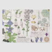 Französisches Kunst Nouveau Seidenpapier (Vorderseite)