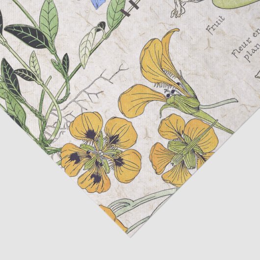 Französisches Kunst Nouveau Seidenpapier (Detail)