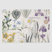 Französisches Kunst Nouveau Seidenpapier (Vorderseite)