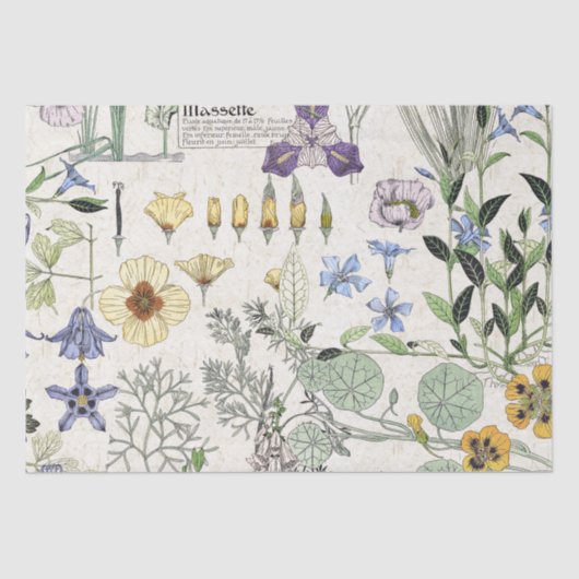 Französisches Kunst Nouveau Seidenpapier (Vorderseite)