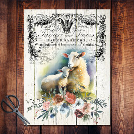 Französisches Land Floral Hampshire Sheep Seidenpapier