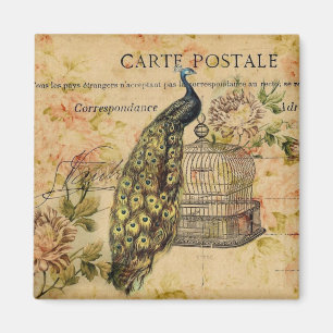 französisches Landkunst nouveau Vintager Pfau Magnet