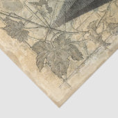 Französisches Schloss Vintages Skript Ephemera Dec Seidenpapier (Ausschnitt)