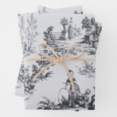 Französisches Toile de joues Schwarz-Weiß-Deco Geschenkpapier Set (Beispiel)