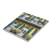 Französisches Viertel-Keramik-Fliesen New Orleans Fliese (Seite)