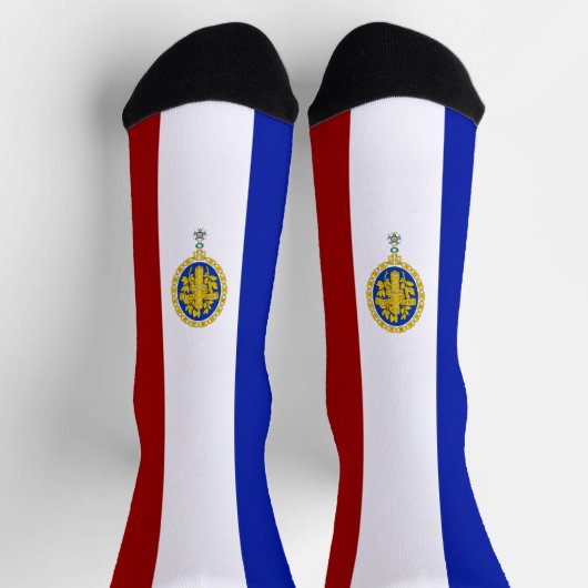 Französisches Wappen Socken (Oben)