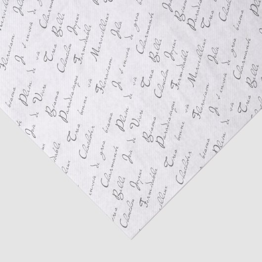 Französisches Wörterbuch für Skriptdekoupage Patte Seidenpapier (Ausschnitt)