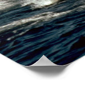 Fraser-Delphin Poster (Ecke)