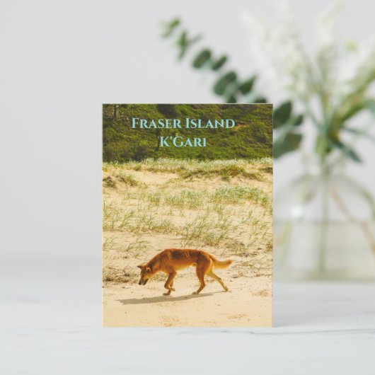 Fraser Island / K'Gari Postcard Postkarte (Stehend Vorderseite)