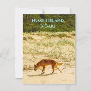 Fraser Island / K'Gari Postcard Postkarte