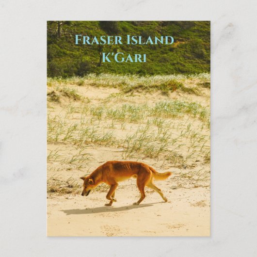 Fraser Island / K'Gari Postcard Postkarte (Vorderseite)