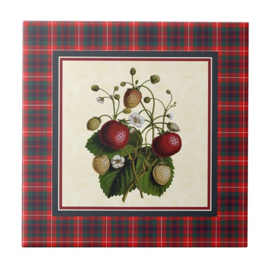 Fraser of Lovat Modern Tartan mit Erdbeere Fliese (Vorderseite)