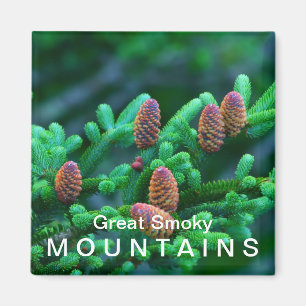 Fraser Tanne - Nationalpark Great Smoky Mountains Magnet