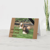 **FRATERNAL TWIN** AM GEBURTSTAG KARTE (Vorderseite)