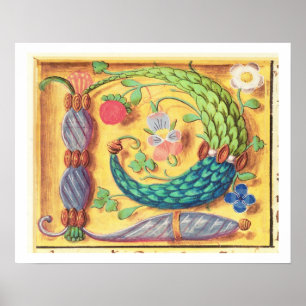 Frau 134 Leuchtender Buchstabe 'P', mit Blumen ver Poster
