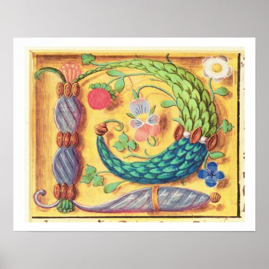 Frau 134 Leuchtender Buchstabe 'P', mit Blumen ver Poster (Vorne)