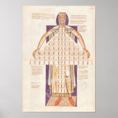 Frau 354 fol.256v Tree of Consanguinity Poster (Vorne)