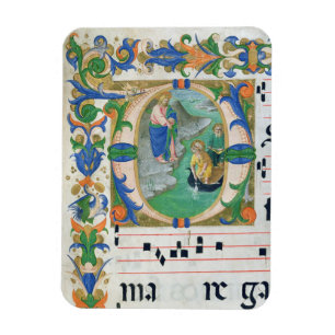 Frau 515 f.1r der wunderbare Entwurf der Fische, Magnet