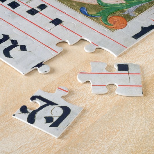 Frau 515 f.1r der wunderbare Entwurf der Fische, Puzzle (Seite)