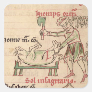 Frau 54. f.6. November: Tötung des Schweins aus ei Quadratischer Aufkleber