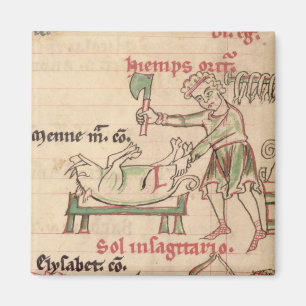 Frau 54. f.6r November: Das Schwein, von einem Magnet