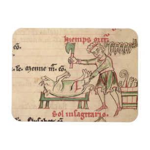 Frau 54. f.6r November: Das Schwein, von einem Magnet