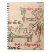 Frau 54. f.6r November: Das Schwein, von einem Notizblock (Vorderseite)