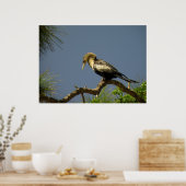 Frau Anhinga auf Zweig Poster (Küche)