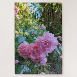 Frau Ash Rose und Bamboo. Puzzle