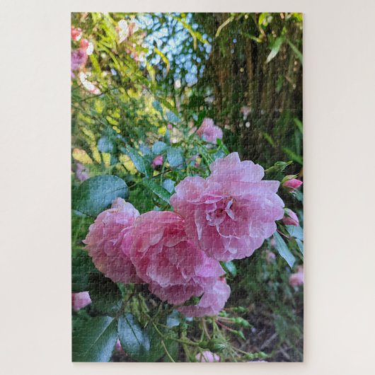 Frau Ash Rose und Bamboo. Puzzle (Vertikal)