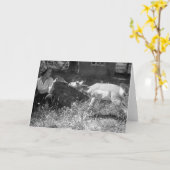 Frau, die eine Antilope Flasche-füttert Karte (Gelbe Blume)