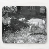 Frau, die eine Antilope Flasche-füttert Mousepad (Vorne)