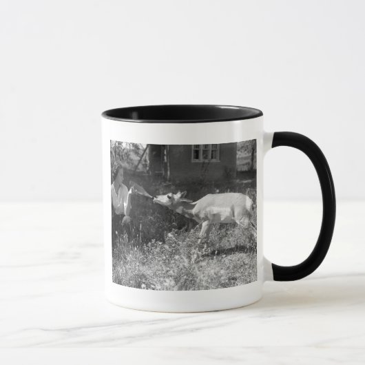 Frau, die eine Antilope Flasche-füttert Tasse (Rechts)