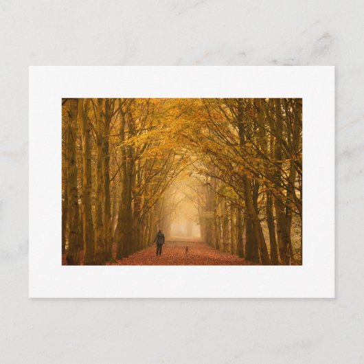 Frau, die mit ihrem Hund auf Herbstkarte geht Postkarte (Vorderseite)