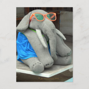Frau Ella geht zum Pool Postkarte