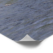 Frau Fischen auf dem Metolius River, Oregon Poster (Ecke)