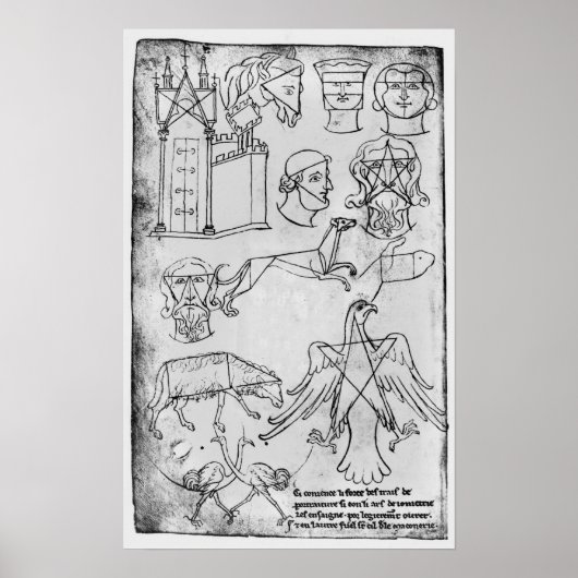 Frau Fr 19093 fol.18v Verschiedene Zeichnungen Poster (Vorne)