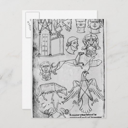 Frau Fr 19093 fol.18v Verschiedene Zeichnungen Postkarte (Vorne/Hinten)